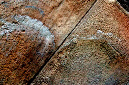 _DSC4912%20(1)