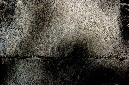 _DSC5042%20(1)
