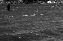 _DSC5047%20(1)