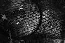 _DSC5056%20(1)