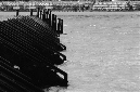_DSC5093%20(1)