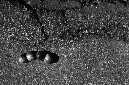 _DSC5106%20(1)