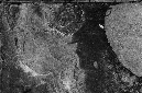 _DSC5155%20(1)