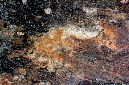 _DSC5179%20(1)