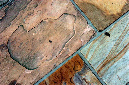 _DSC5184%20(1)