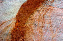 _DSC5186%20(1)