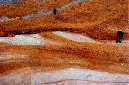 _DSC5188%20(1)