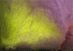 BDN Photo Textures