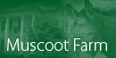 Muscoot Farm