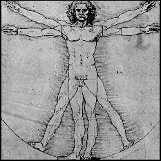  Vitruvian 