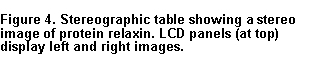 Text Box: Figure 4. Stereographic table showing a stereo image of protein relaxin. LCD panels (at top) display left and right images.