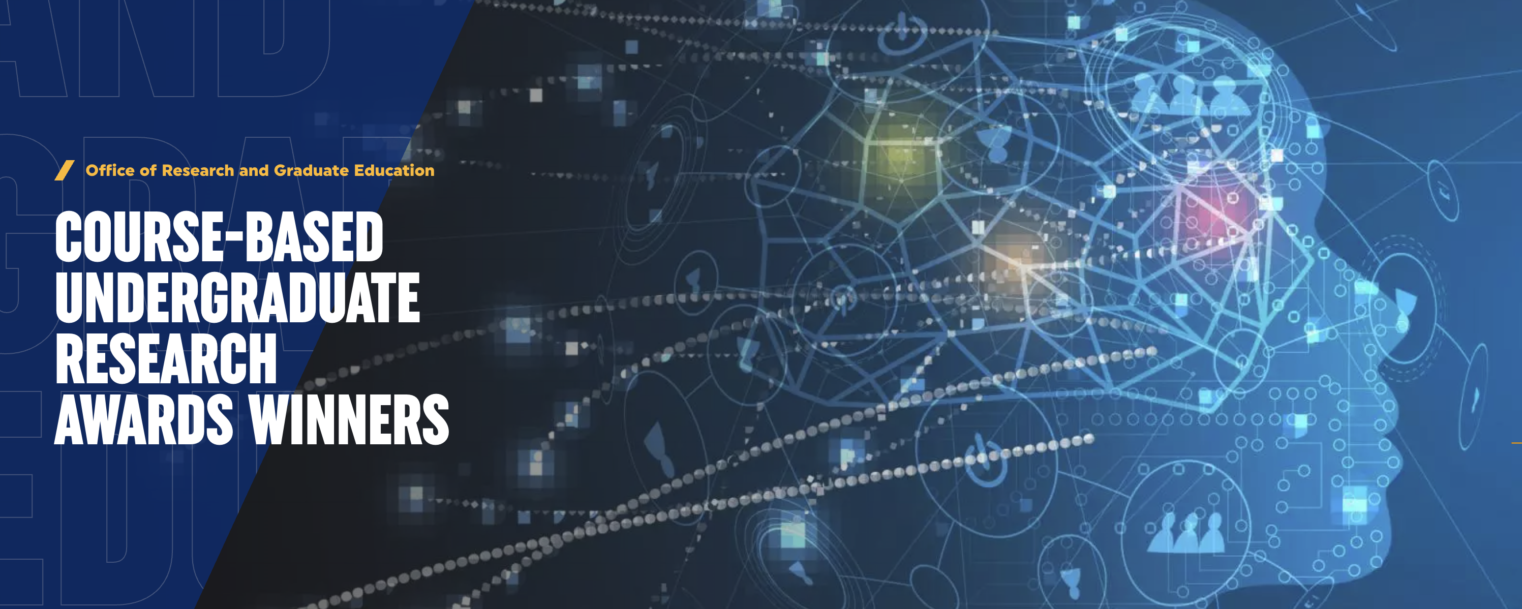 Undergraduate Research Winners